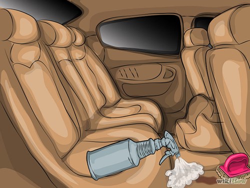 car interior shampooing